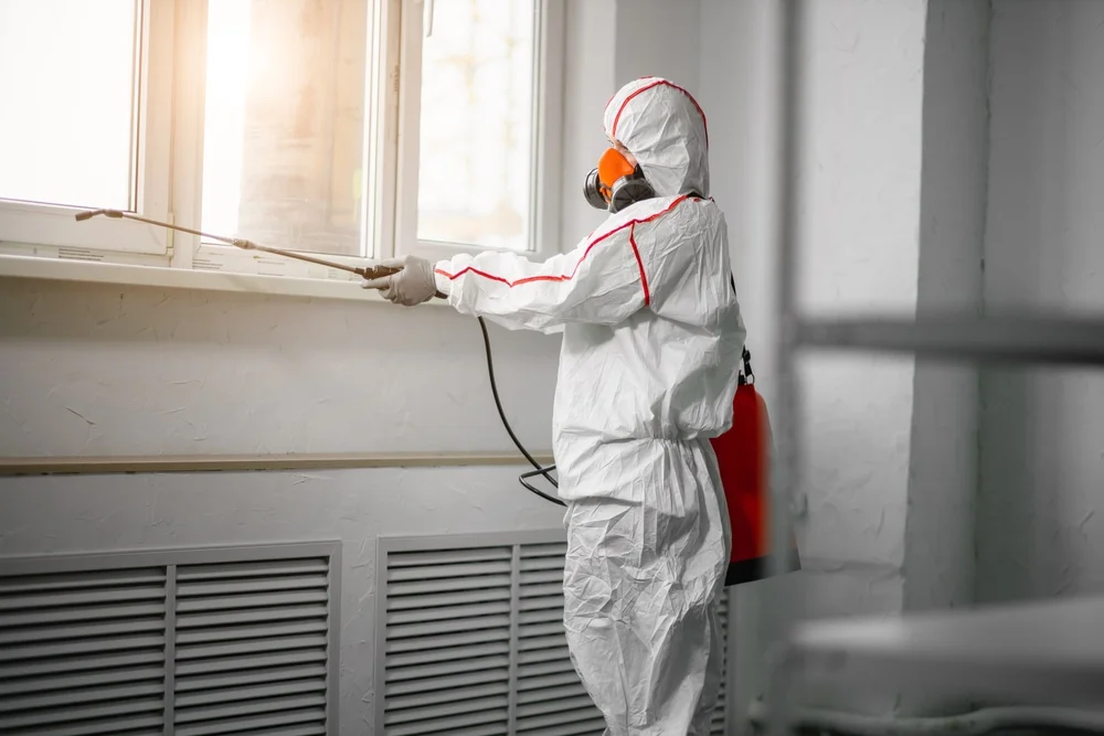 Professional mold remediation services in Jelm, WY